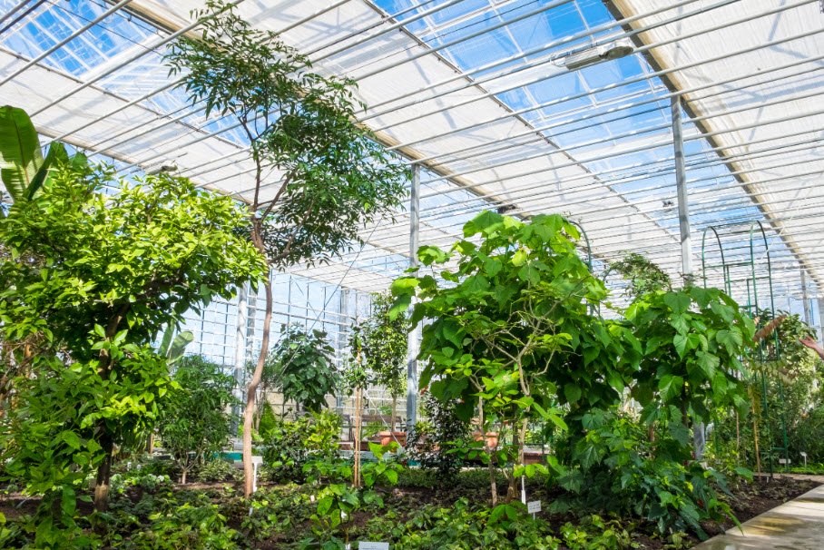 National Botanic Garden, Latvia
